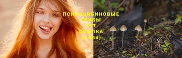 первитин Аркадак