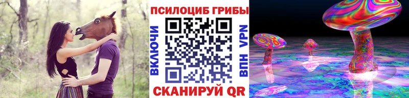 Галлюциногенные грибы Psilocybe  shop состав  Сланцы 